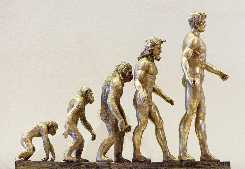 Food Evolution